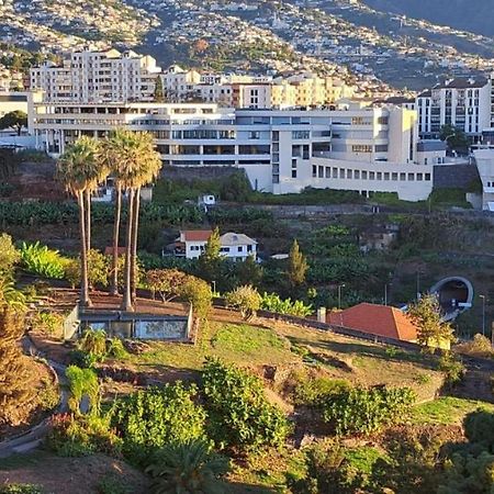 Magnolia Apartment Luxury Apt Great Views Funchal  Exterior photo